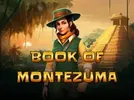 Winner Book of Montezuma