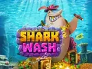 Winner Shark Wash