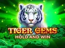 Winner Tiger Gems