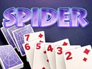 Winner Spider